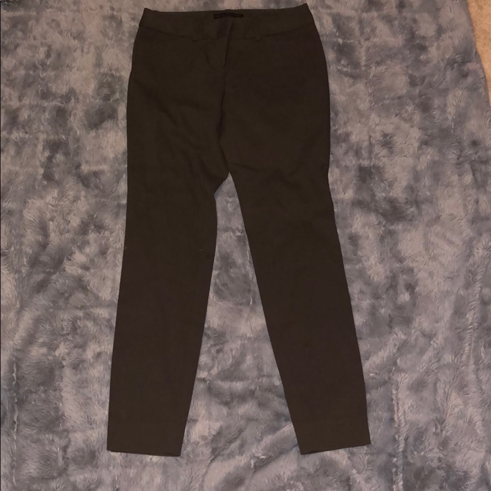 The Limited Dress Pants